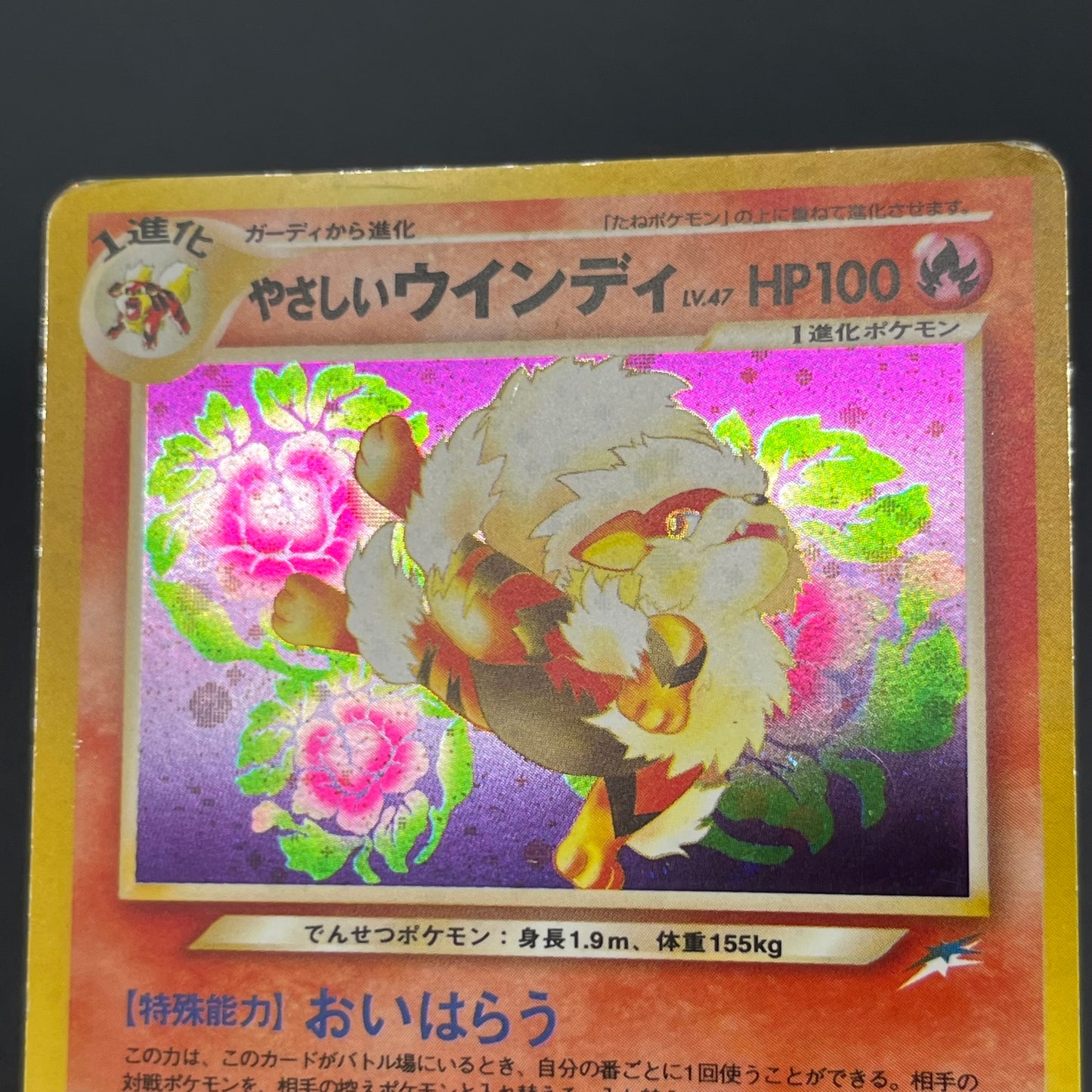 Light Arcanine No. 059 Neo Destiny 2001 Holo Pokemon Card