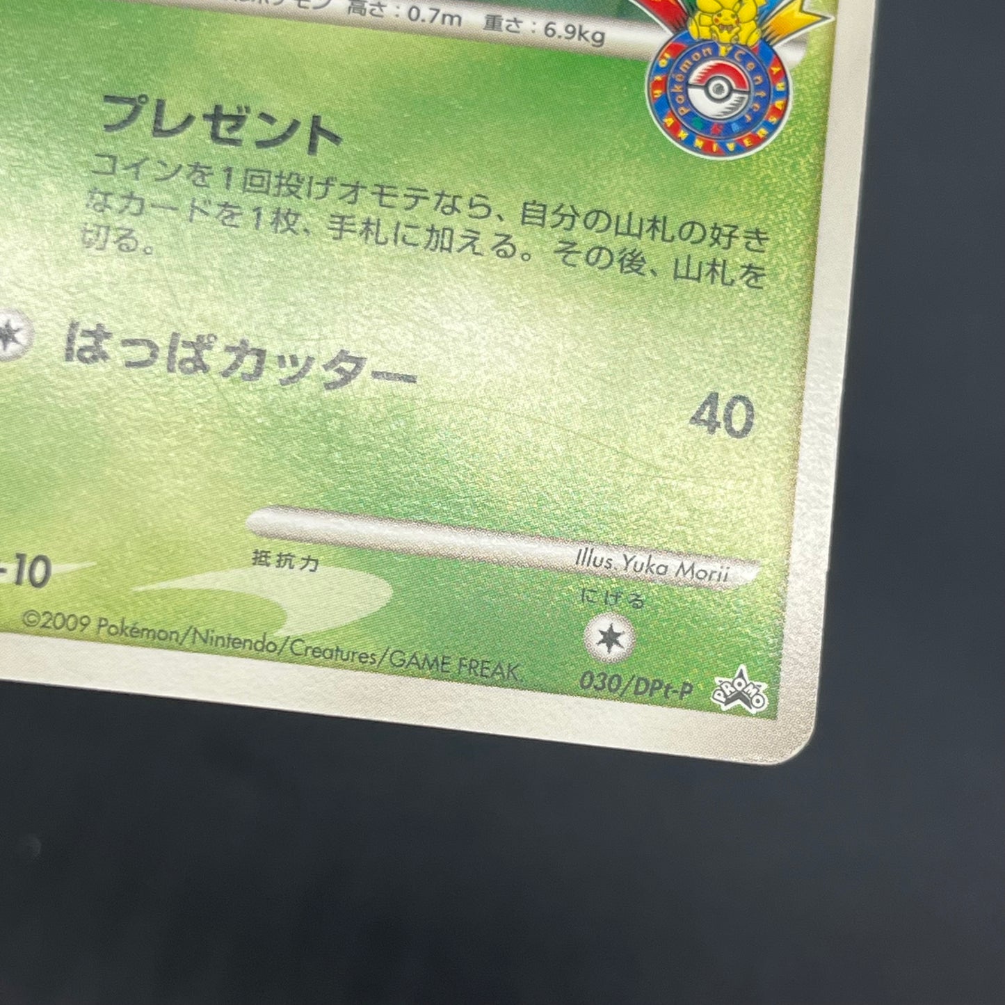 Bulbasaur 030/DPt-P Pokemon 10th Anniversary Japanese Card
