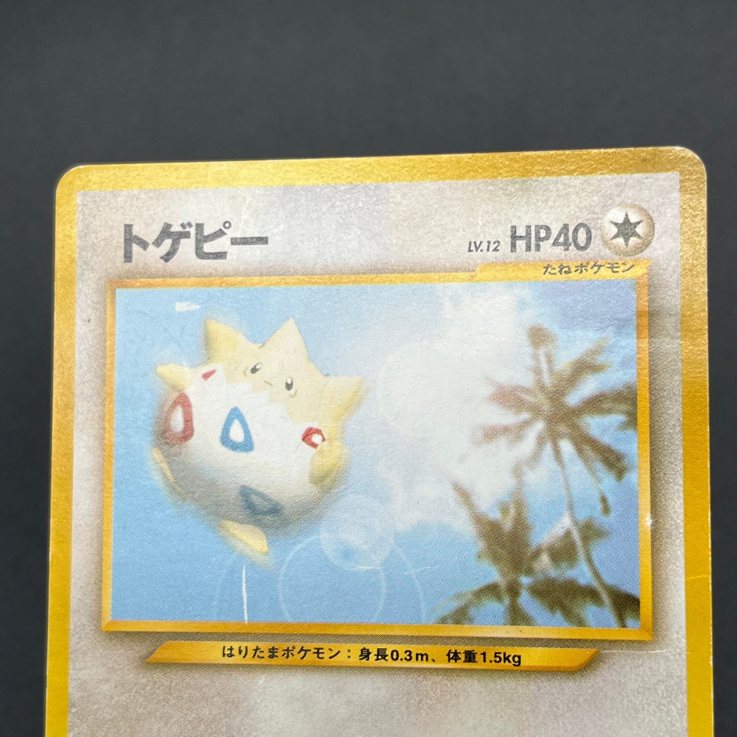 Togepi Marill ANA Special 2000 Version Promo Pokémon Card