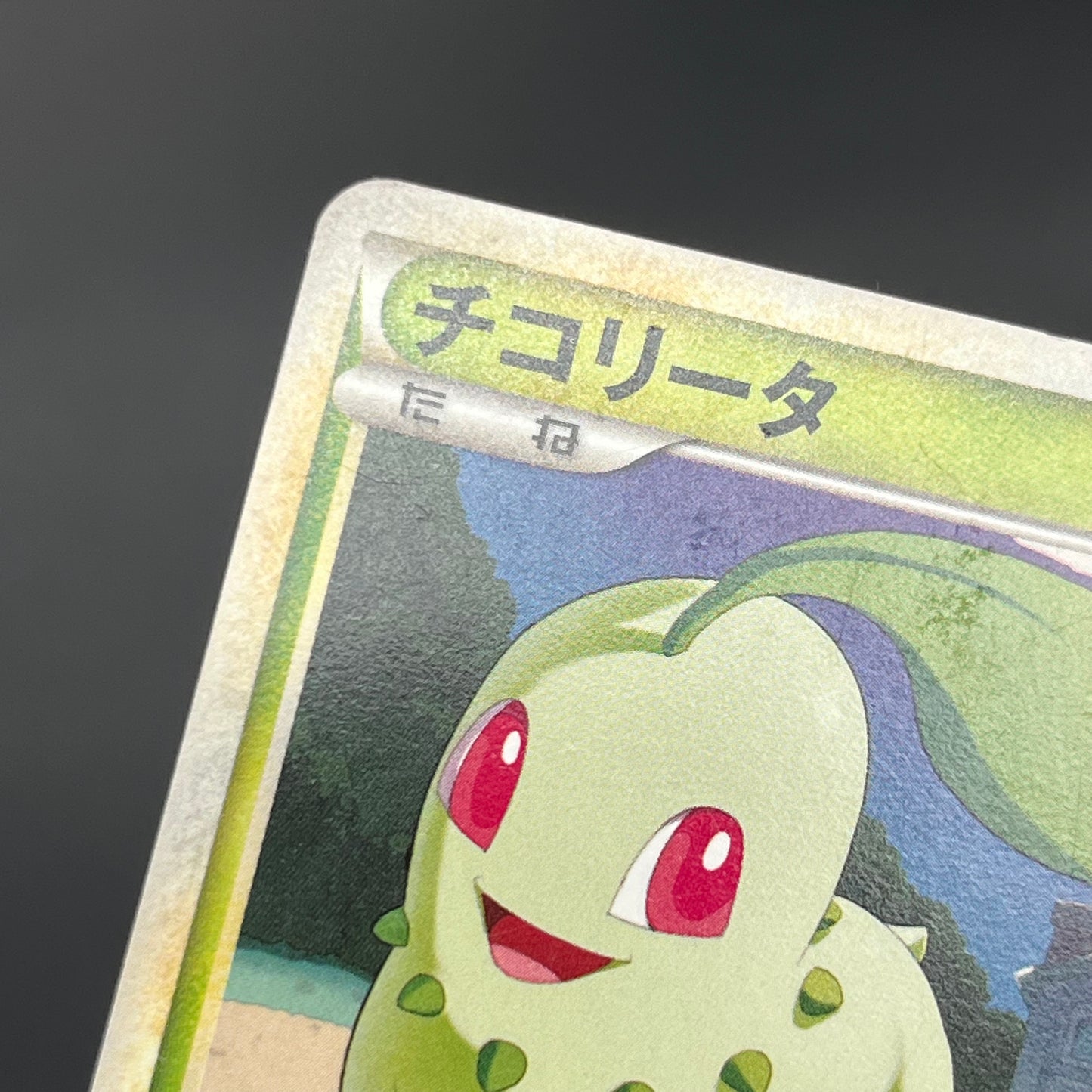 Chikorita 034/L-P Promo Pokémon Center Japanese Card