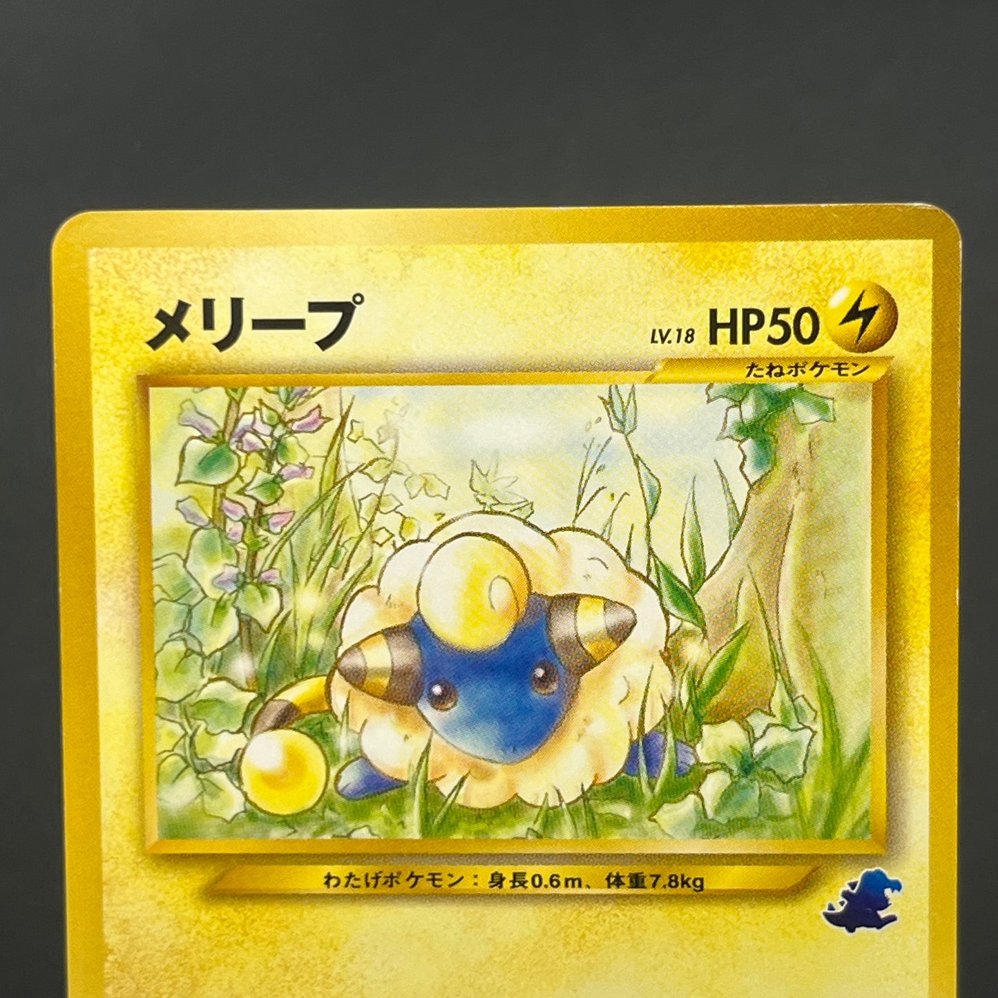 Flaaffy Mareep Intro Pack Totodile Deck 2set Pokémon Card