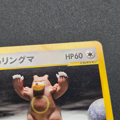 Bruno's Hitmonlee Ursaring Hitmonchan 3set VS Pokémon Card
