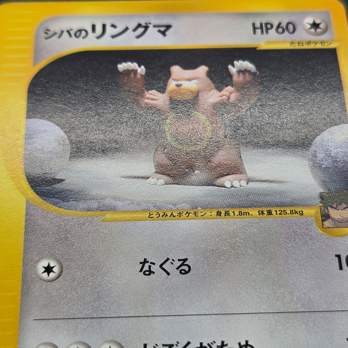 Bruno's Hitmonlee Ursaring Hitmonchan 3set VS Pokémon Card