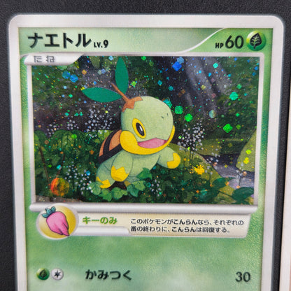 Piplup 003/PPP Chimchar Turtwig Promo 3set Pokemon Card