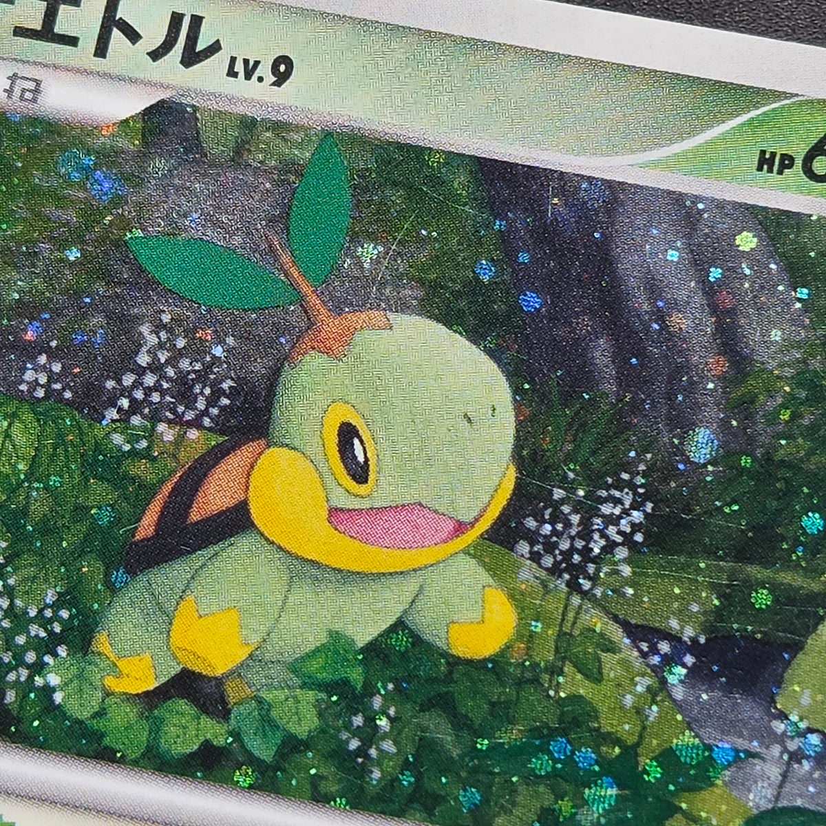 Piplup 003/PPP Chimchar Turtwig Promo 3set Pokemon Card