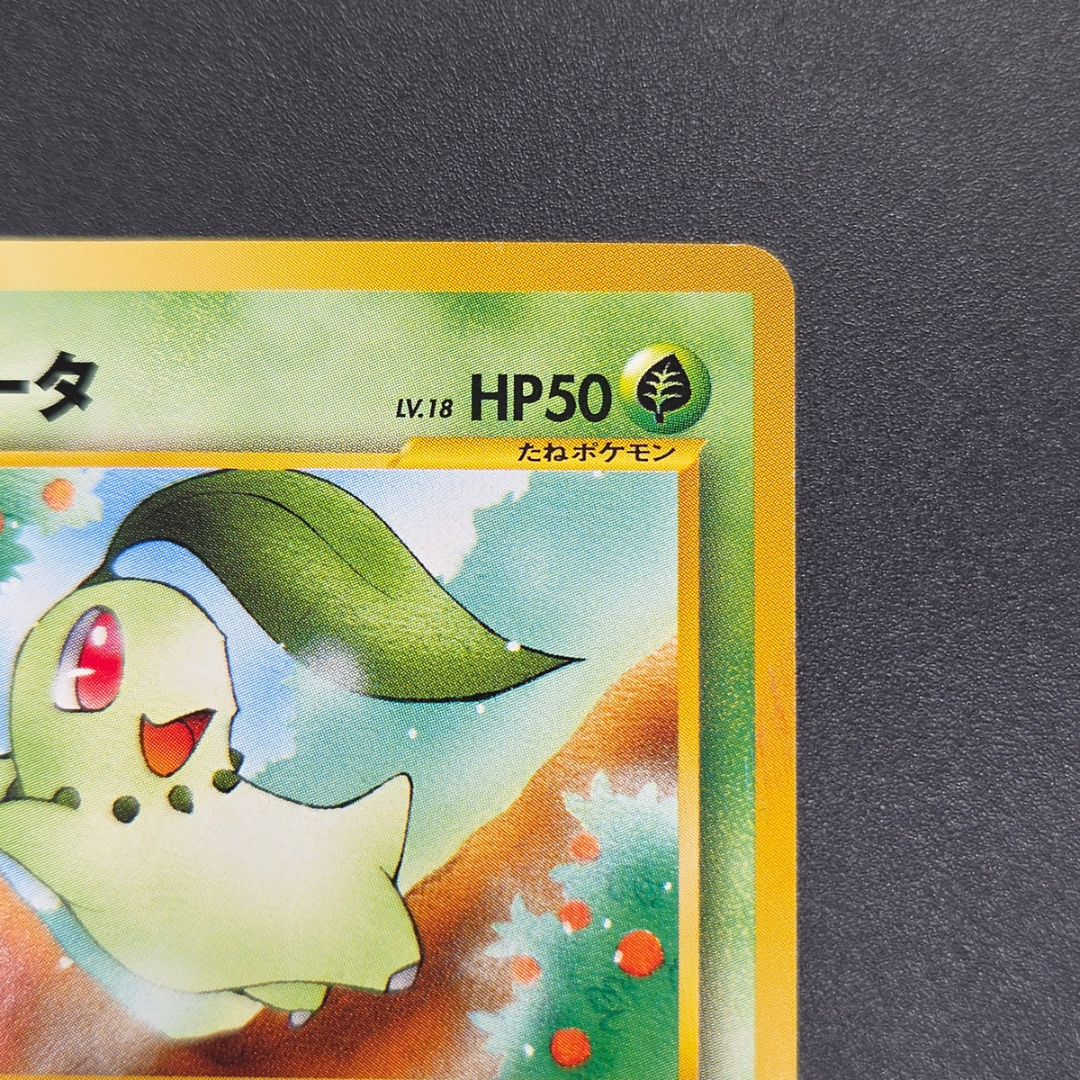 Chikorita No. 152 Intro Pack Promo Half Deck Pokémon Card