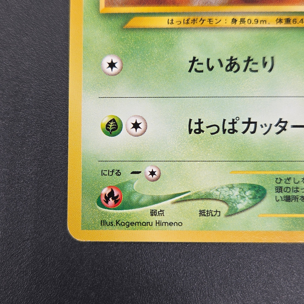 Chikorita No. 152 Intro Pack Promo Half Deck Pokémon Card