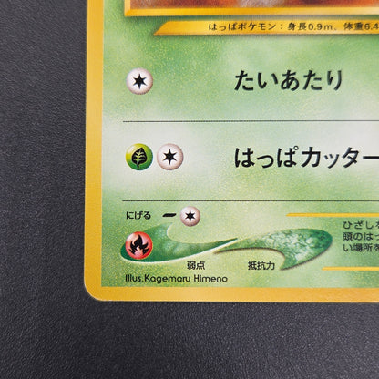 Chikorita No. 152 Intro Pack Promo Half Deck Pokémon Card