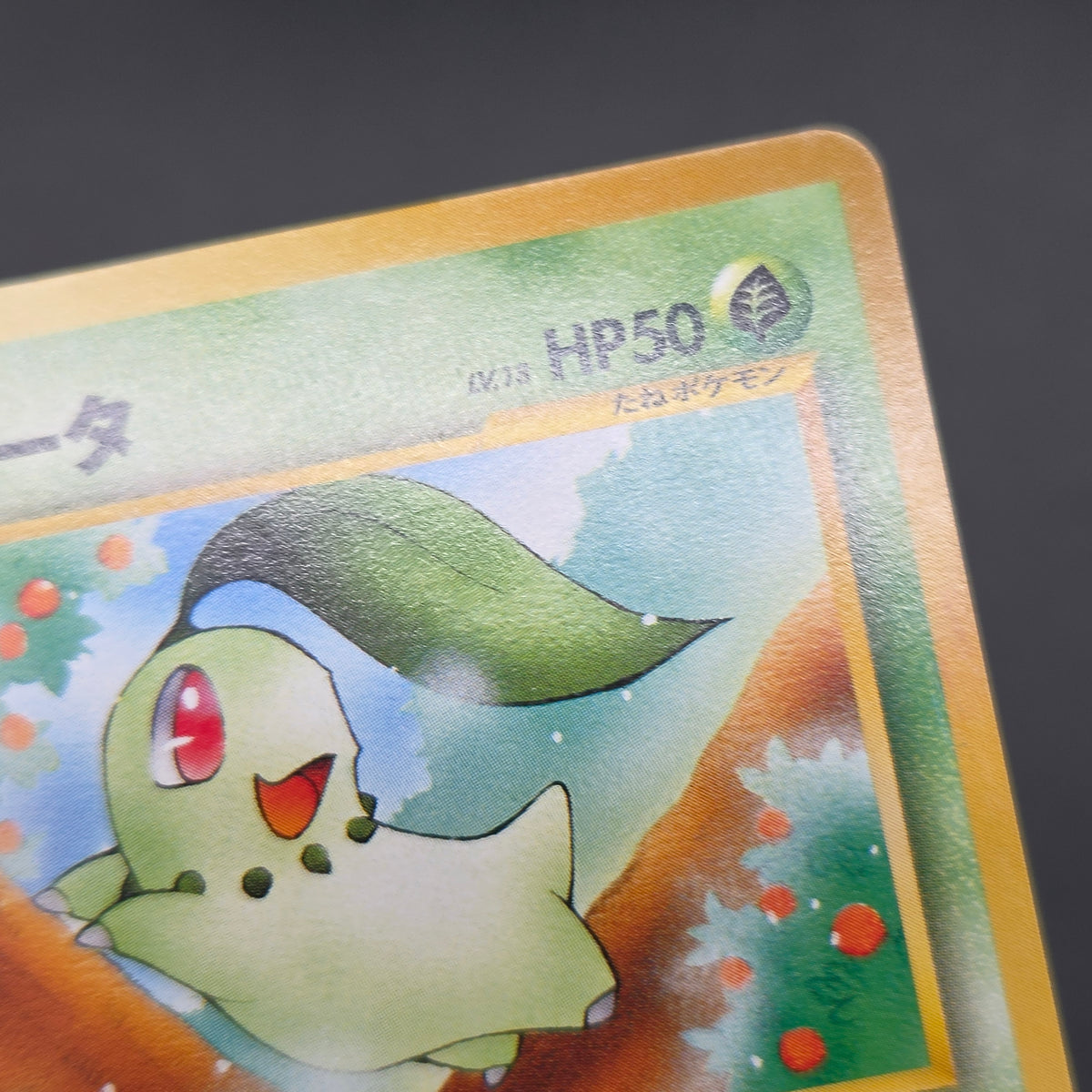 Chikorita No. 152 Intro Pack Promo Half Deck Pokémon Card