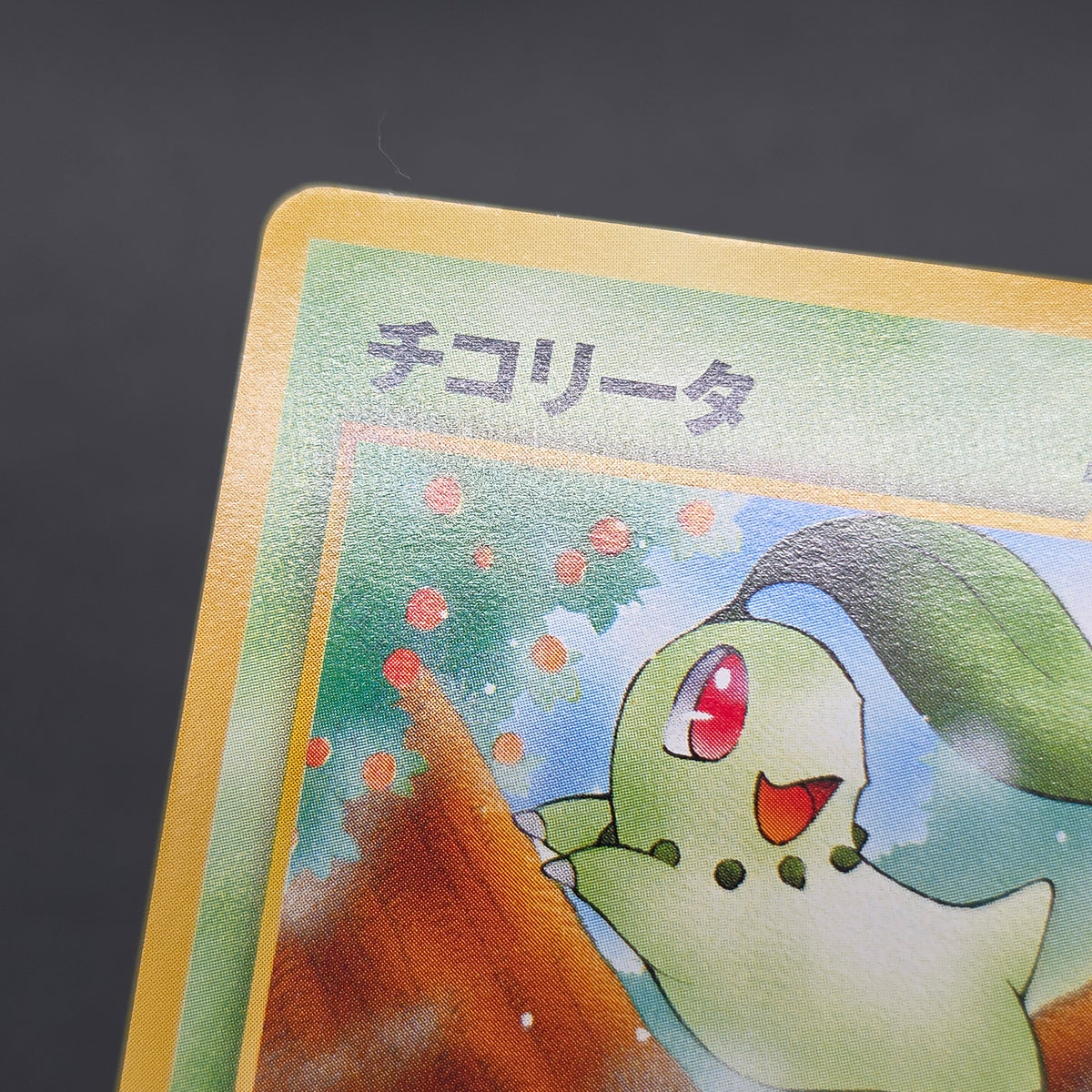 Chikorita No. 152 Intro Pack Promo Half Deck Pokémon Card
