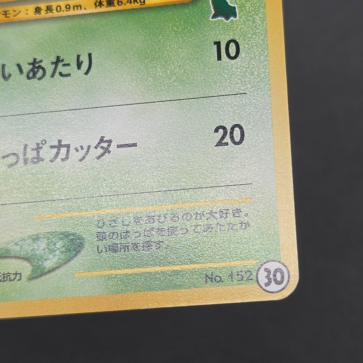 Chikorita No. 152 Intro Pack Promo Half Deck Pokémon Card