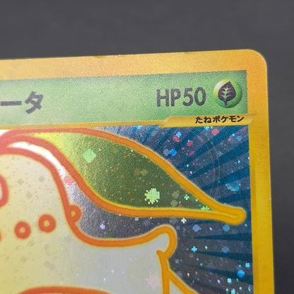 Chikorita 003/018 McDonald's Promo Holo e Pokemon Card