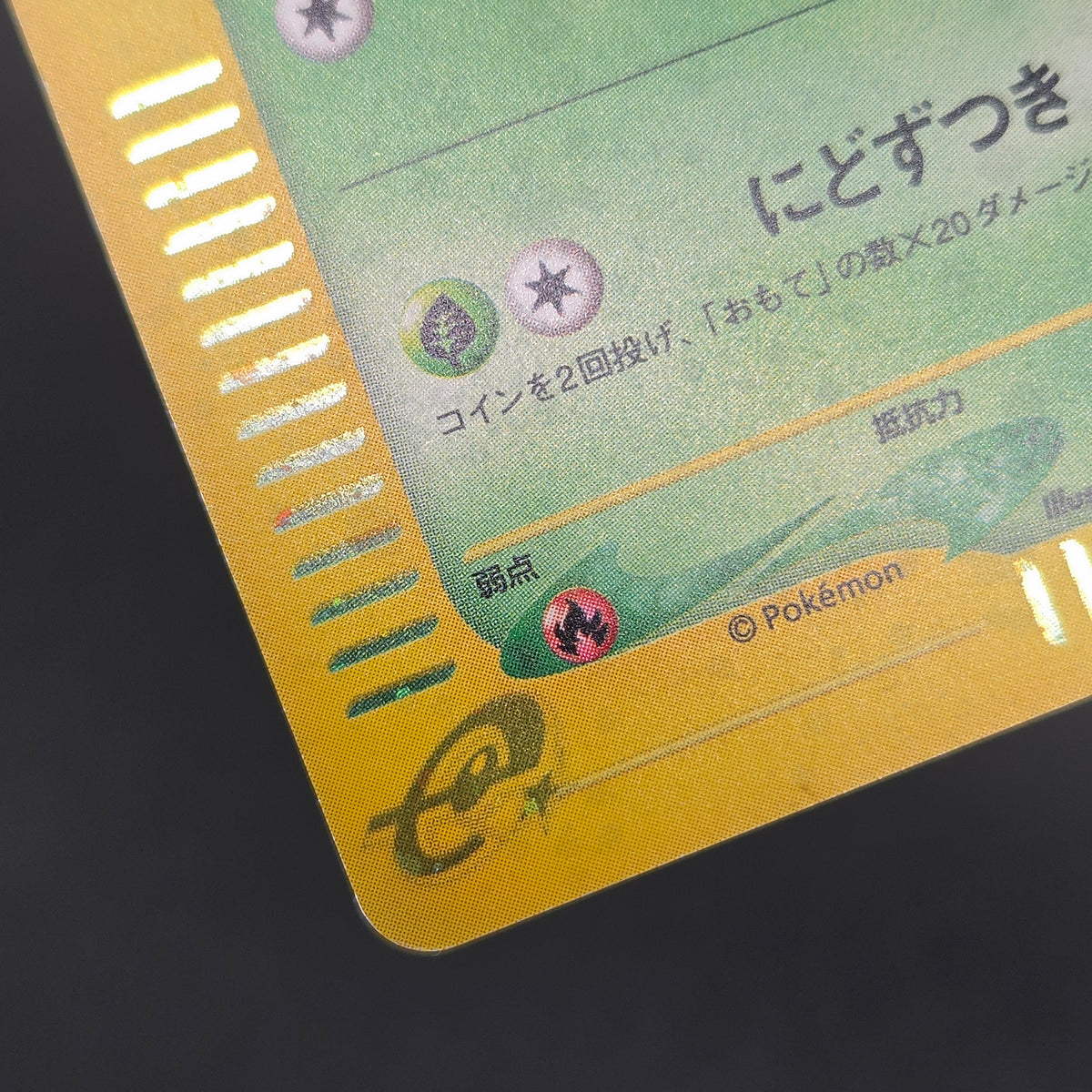 Chikorita 003/018 McDonald's Promo Holo e Pokemon Card