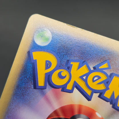 Chikorita 003/018 McDonald's Promo Holo e Pokemon Card