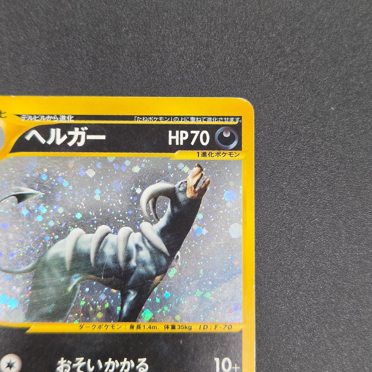 Houndoom 070/088 Mysterious Mountains e Pokemon Card