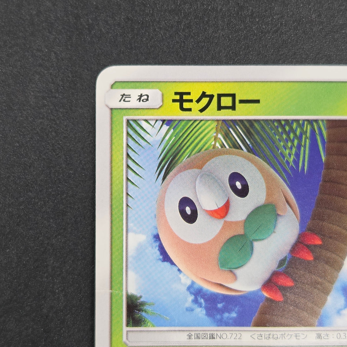 Rowlet 169/SM-P Promo Toys Kingdom promotion Pokemon Card
