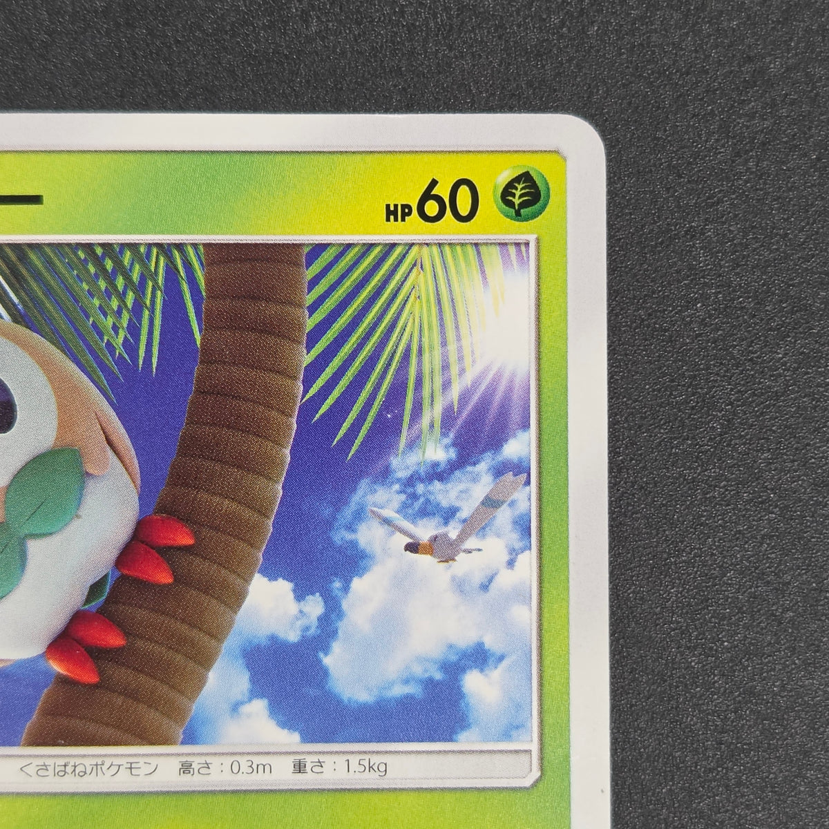 Rowlet 169/SM-P Promo Toys Kingdom promotion Pokemon Card