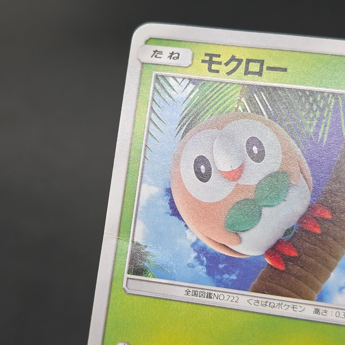 Rowlet 169/SM-P Promo Toys Kingdom promotion Pokemon Card