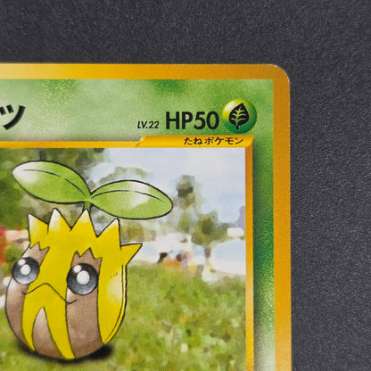 Sunkern 191 Intro Pack Chikorita Half Deck Pokemon Card