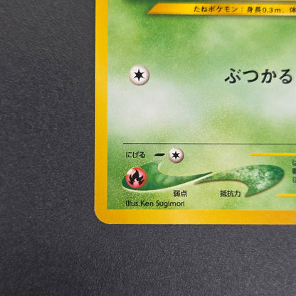 Sunkern 191 Intro Pack Chikorita Half Deck Pokemon Card