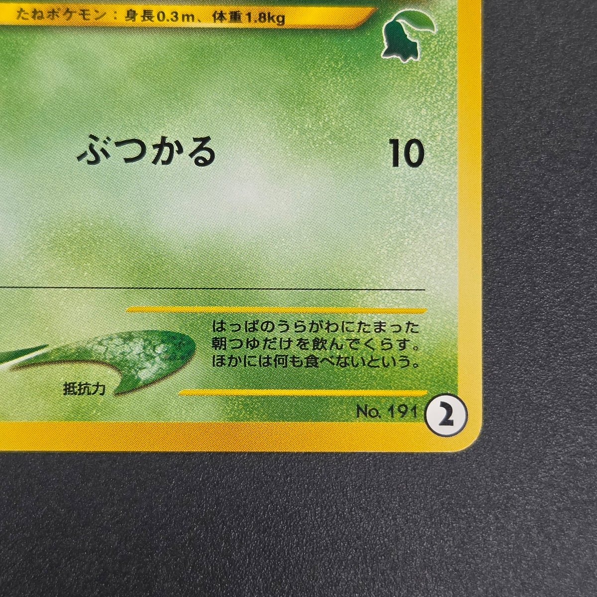 Sunkern 191 Intro Pack Chikorita Half Deck Pokemon Card