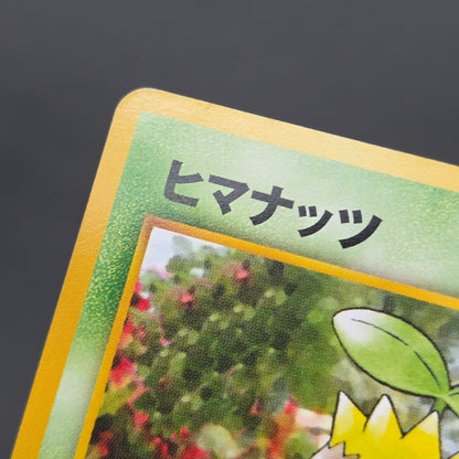 Sunkern 191 Intro Pack Chikorita Half Deck Pokemon Card