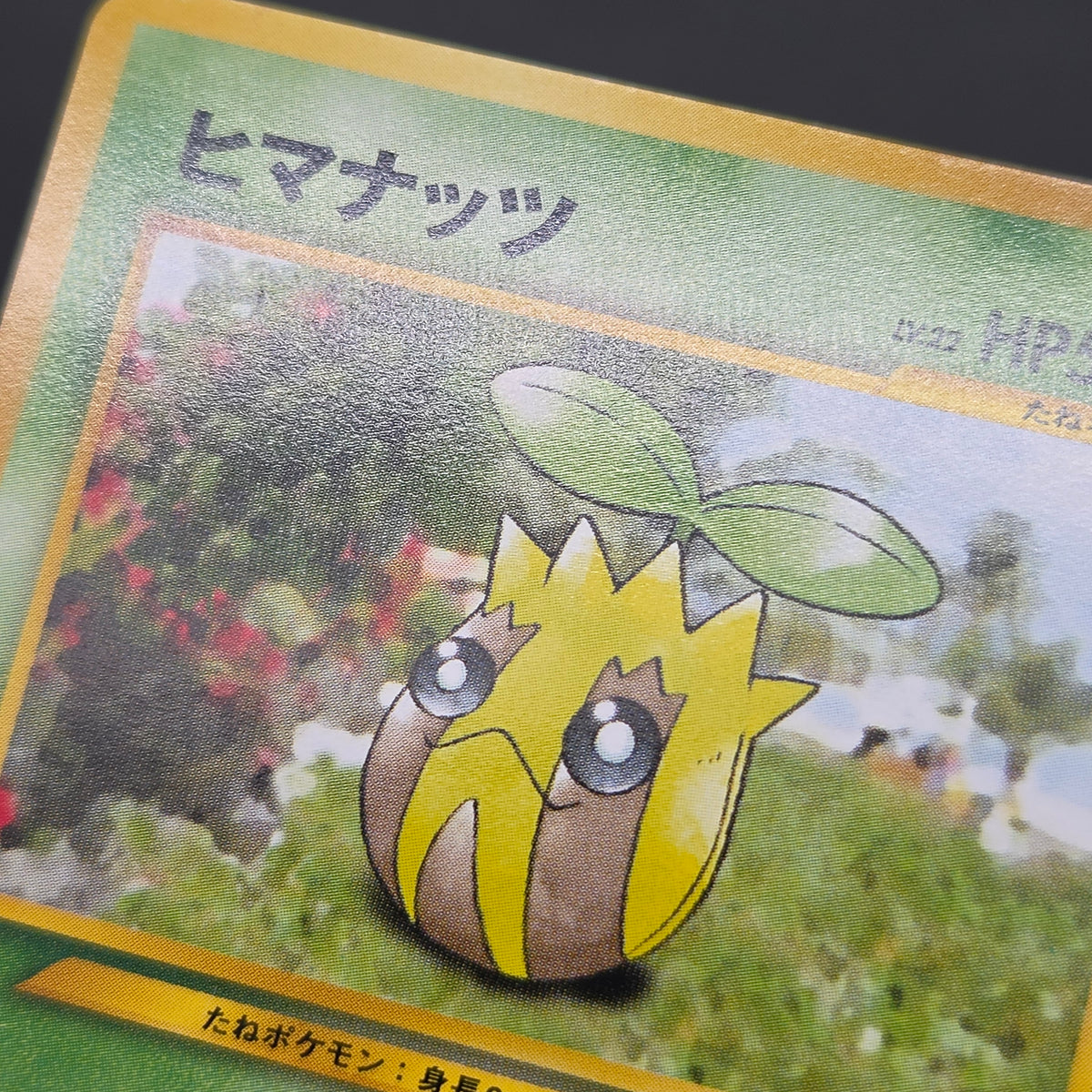 Sunkern 191 Intro Pack Chikorita Half Deck Pokemon Card
