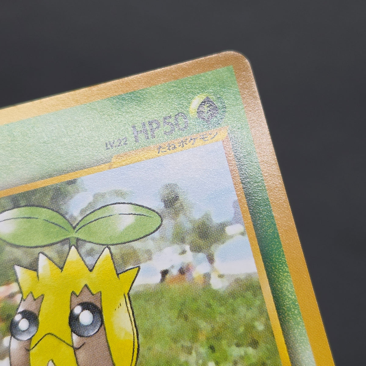 Sunkern 191 Intro Pack Chikorita Half Deck Pokemon Card