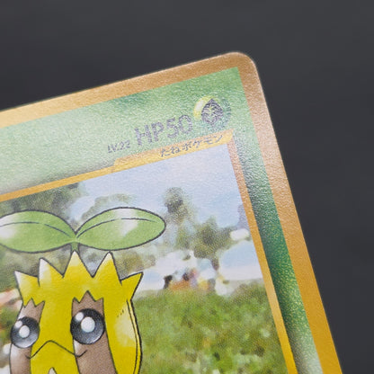 Sunkern 191 Intro Pack Chikorita Half Deck Pokemon Card