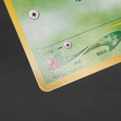 Sunkern 191 Intro Pack Chikorita Half Deck Pokemon Card