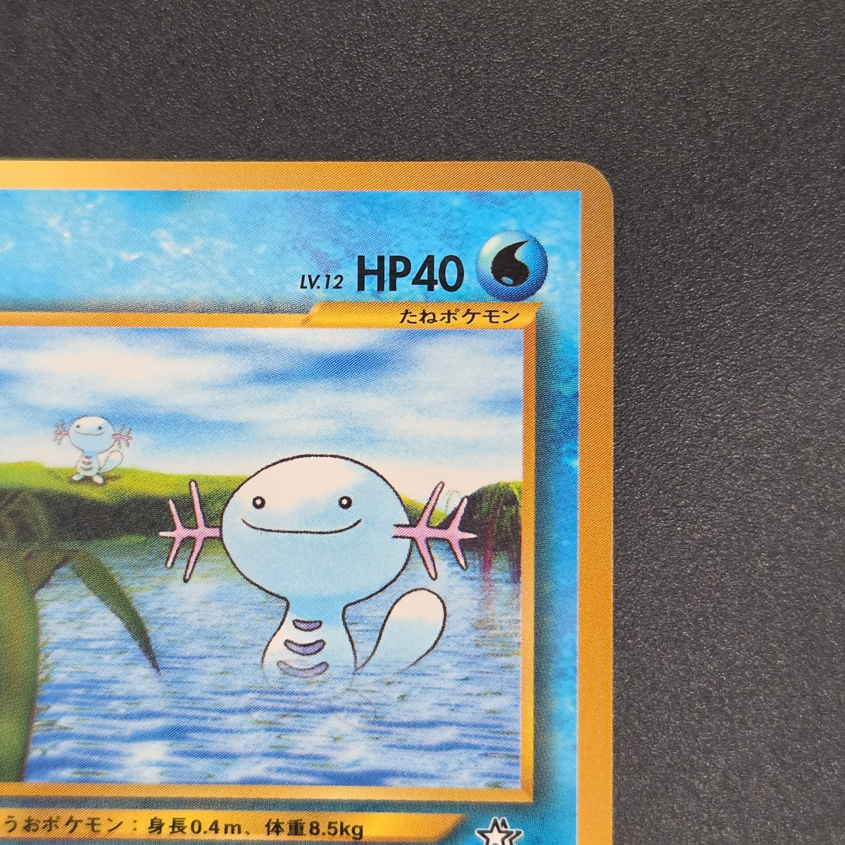 Wooper No.194 Promo CoroCoro Old Back Pokemon Card