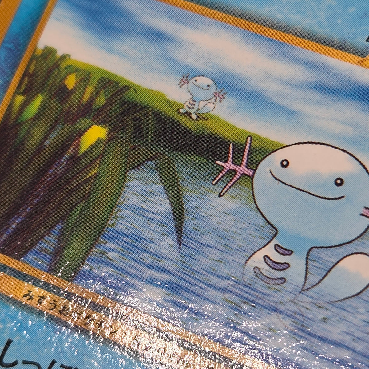 Wooper No.194 Promo CoroCoro Old Back Pokemon Card