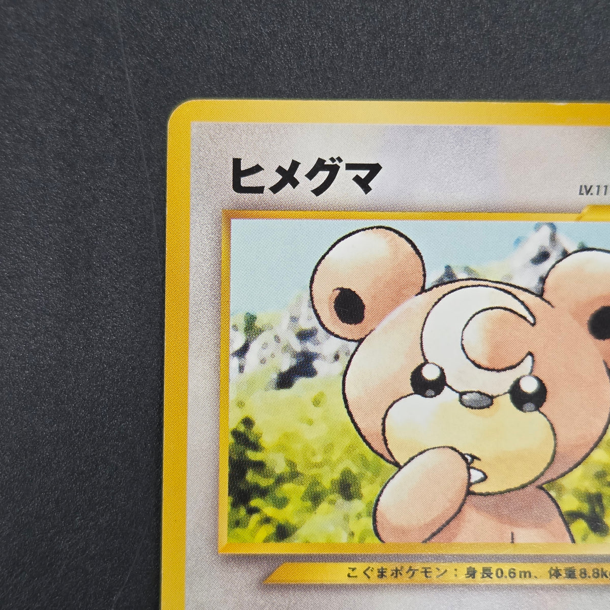 Teddiursa No. 216 Intro Pack Chikorita Deck Pokémon Card