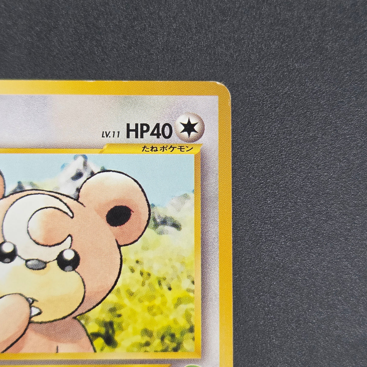 Teddiursa No. 216 Intro Pack Chikorita Deck Pokémon Card