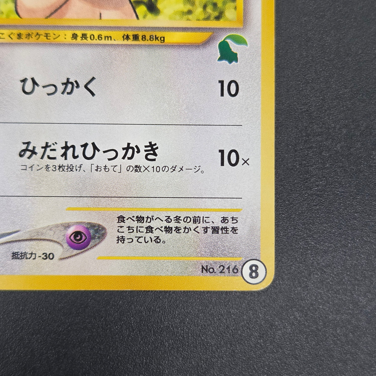 Teddiursa No. 216 Intro Pack Chikorita Deck Pokémon Card