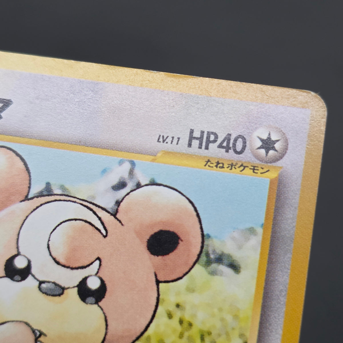 Teddiursa No. 216 Intro Pack Chikorita Deck Pokémon Card