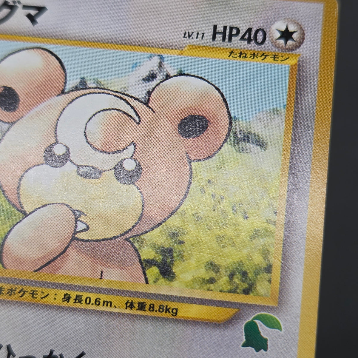 Teddiursa No. 216 Intro Pack Chikorita Deck Pokémon Card