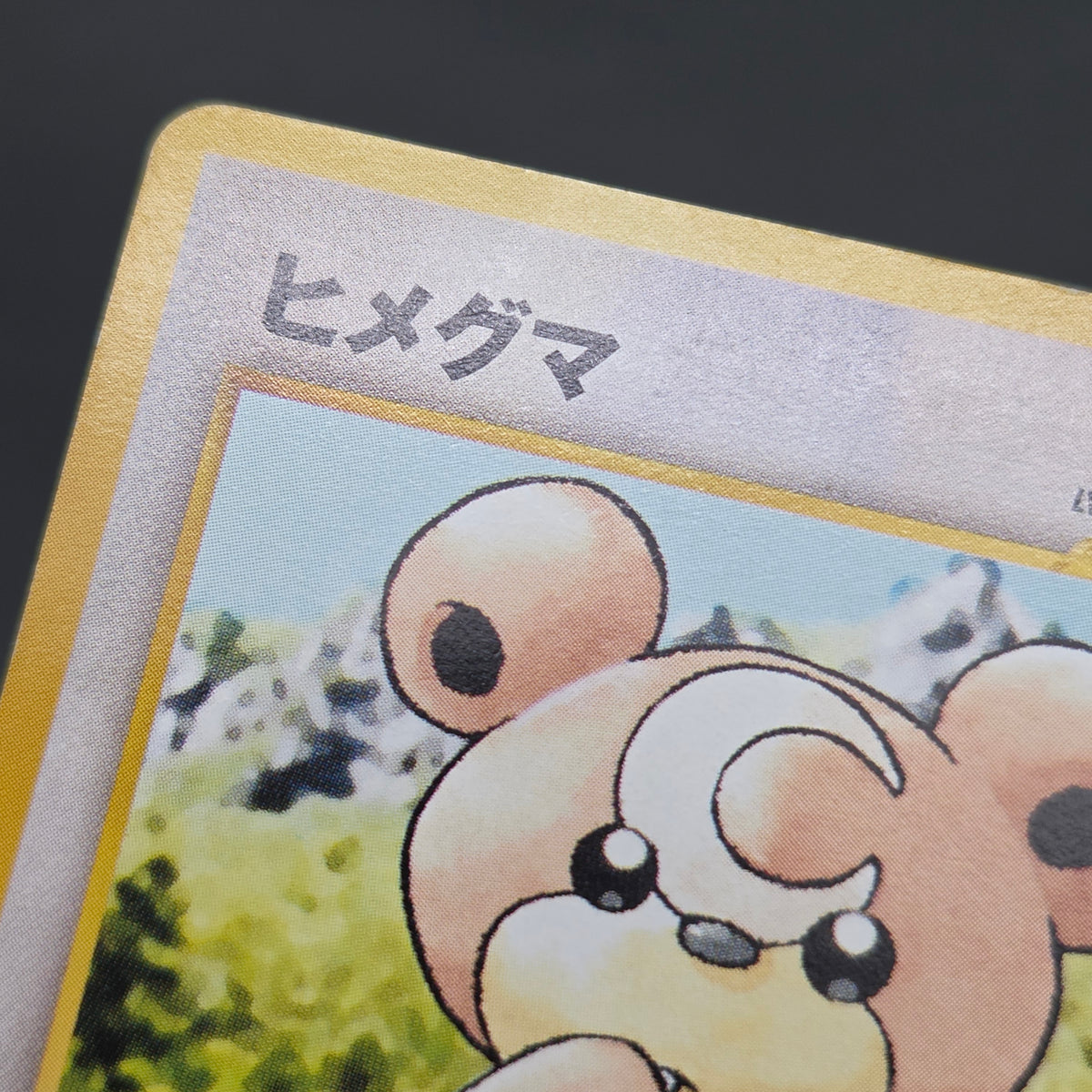Teddiursa No. 216 Intro Pack Chikorita Deck Pokémon Card