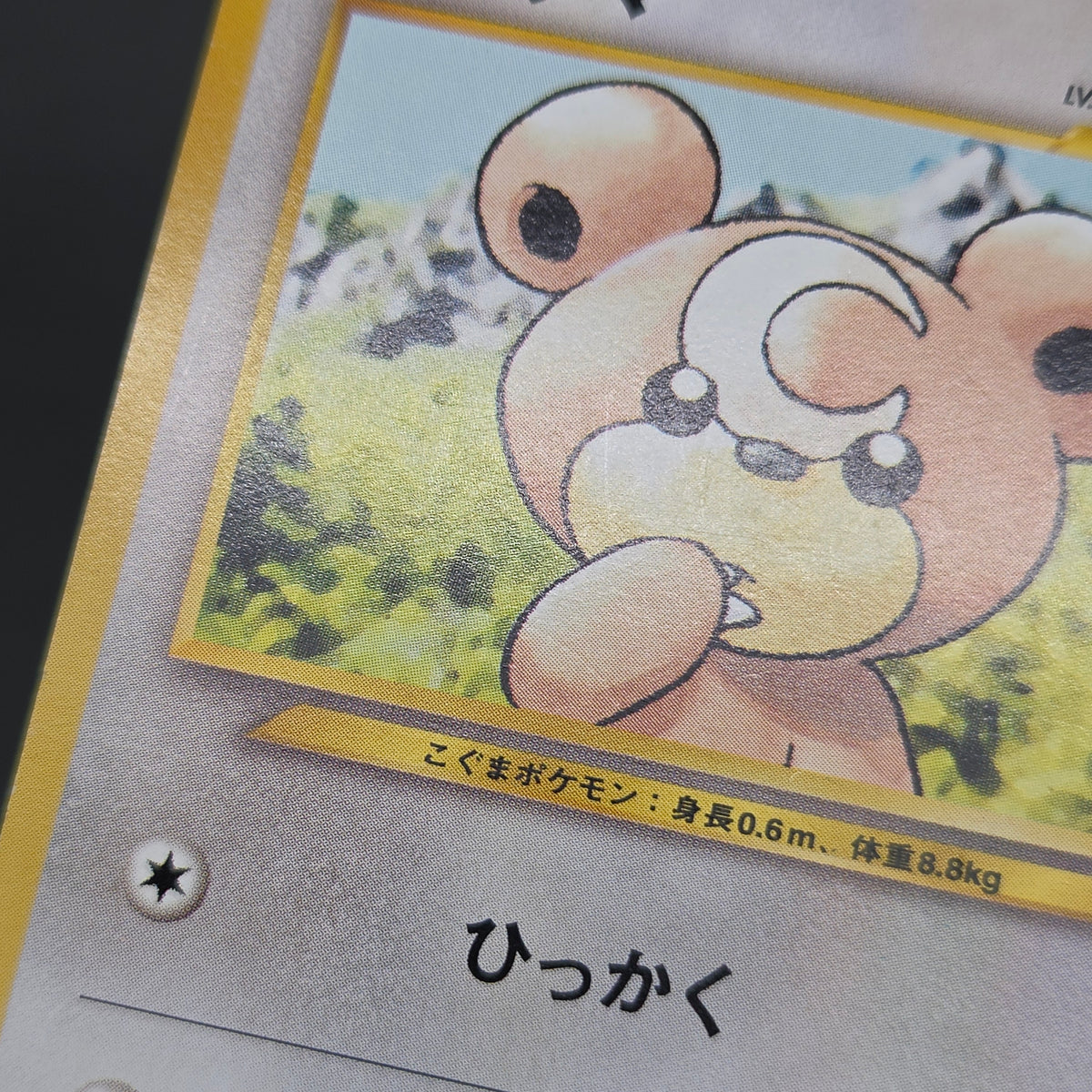 Teddiursa No. 216 Intro Pack Chikorita Deck Pokémon Card