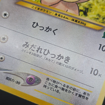Teddiursa No. 216 Intro Pack Chikorita Deck Pokémon Card