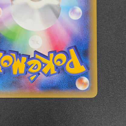 Hippopotas 159/XY-P Promo Center Japanese Pokemon Card