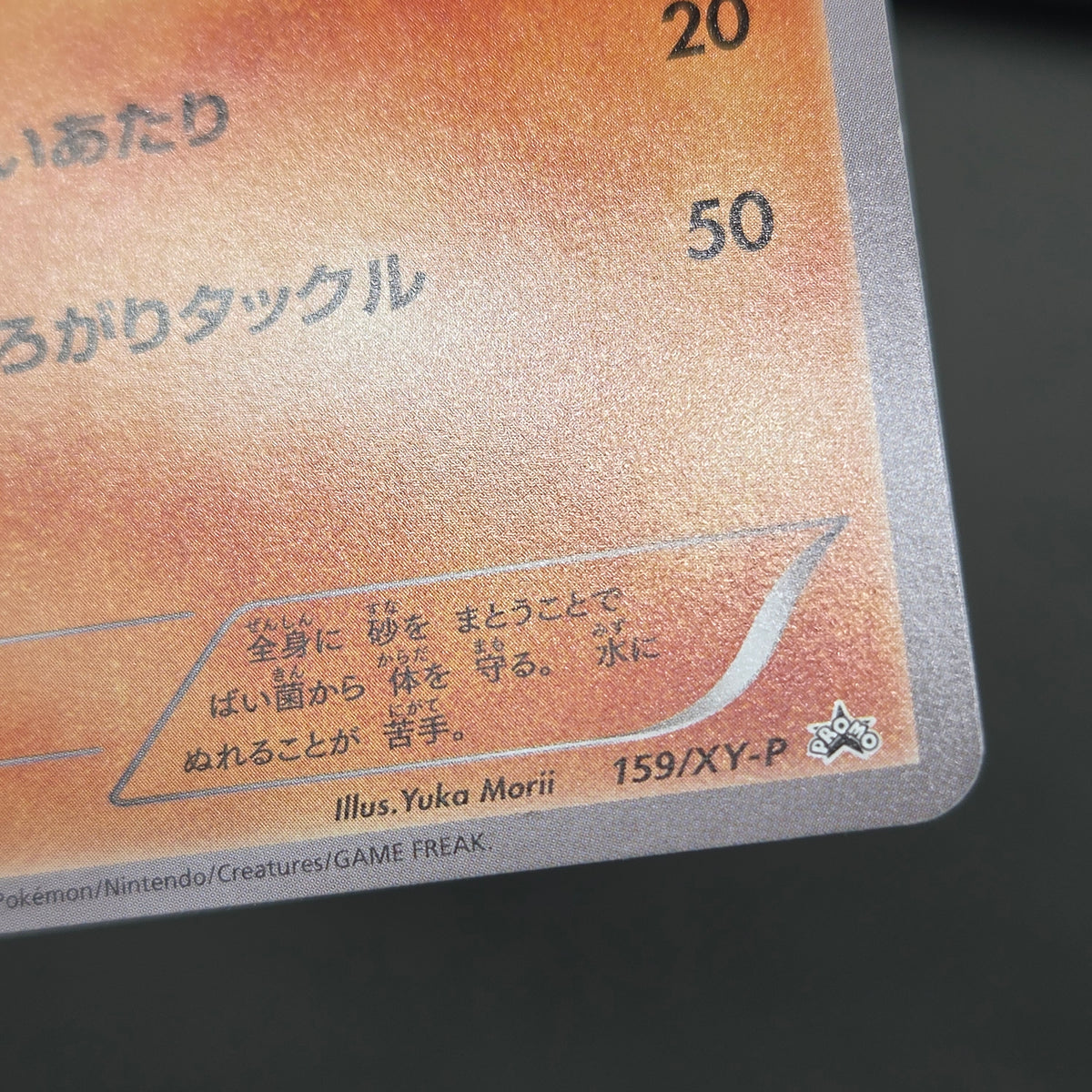 Hippopotas 159/XY-P Promo Center Japanese Pokemon Card