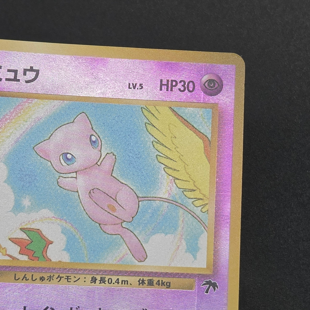 Mew Southern Island Promo Holo Japanese Pokemon Card