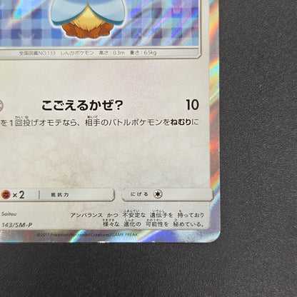 Poncho Wearing Eevee 143/SM-P Eevee Holo Promo Card