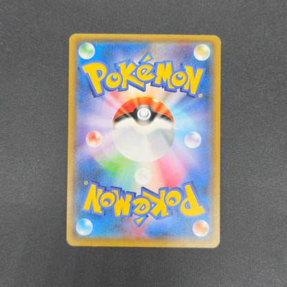 Poncho Wearing Eevee 143/SM-P Eevee Holo Promo Card