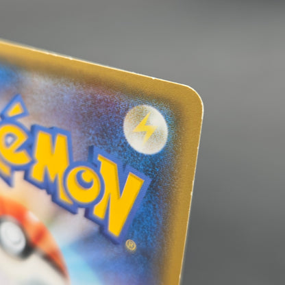 Poncho Wearing Eevee 143/SM-P Eevee Holo Promo Card