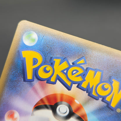 Poncho Wearing Eevee 143/SM-P Eevee Holo Promo Card