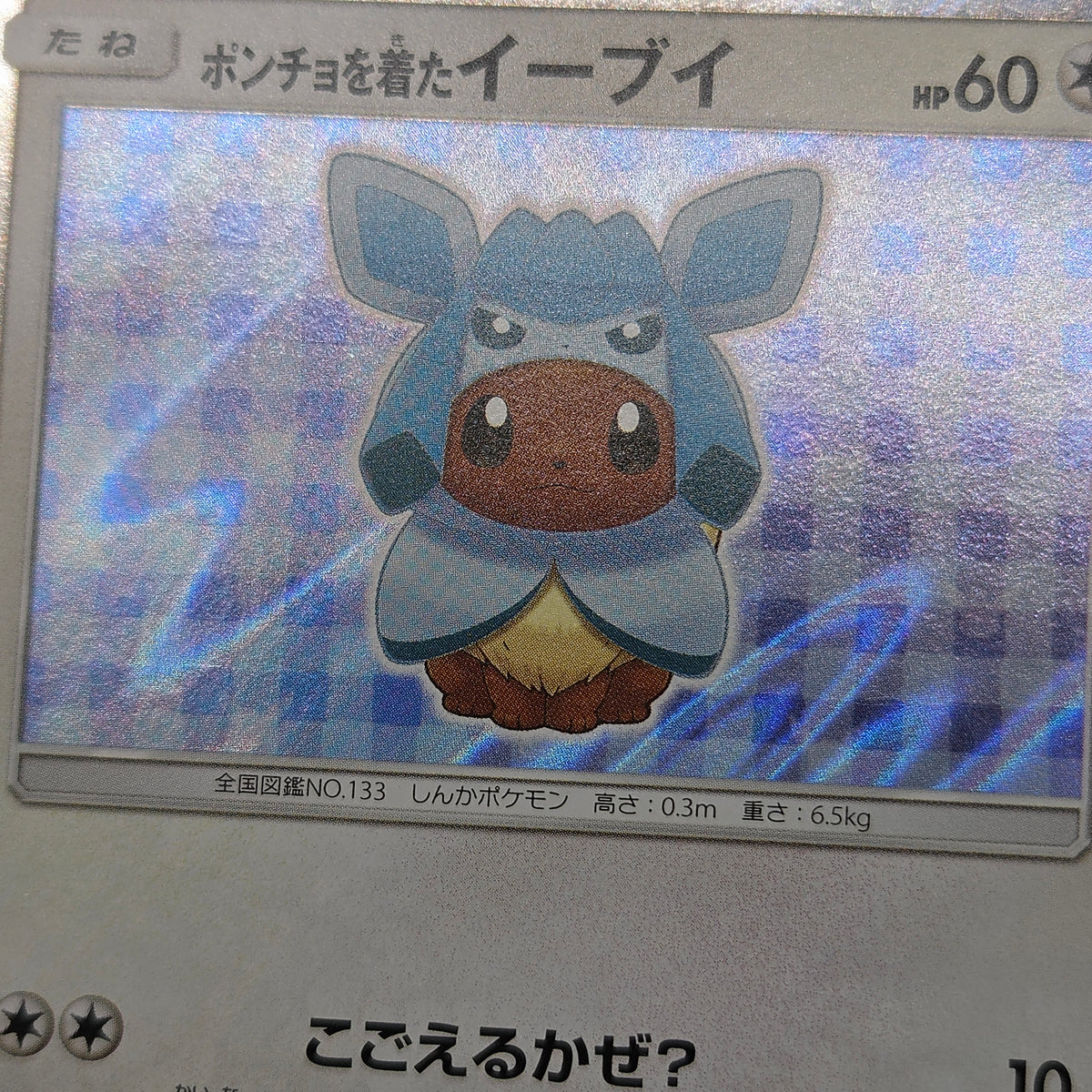 Poncho Wearing Eevee 143/SM-P Eevee Holo Promo Card
