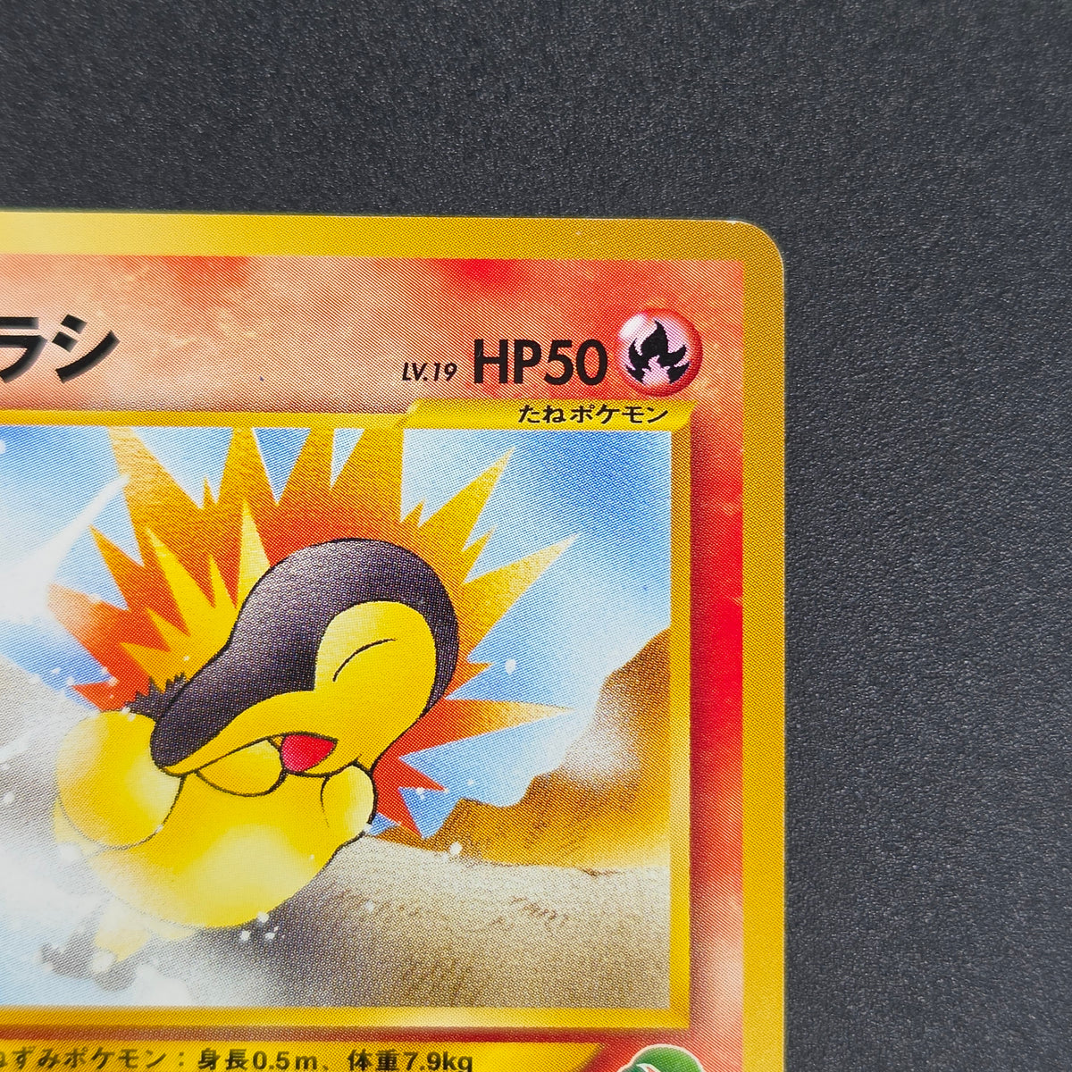 Cyndaquil 155 Intro Pack Neo Chikorita Deck Pokemon card