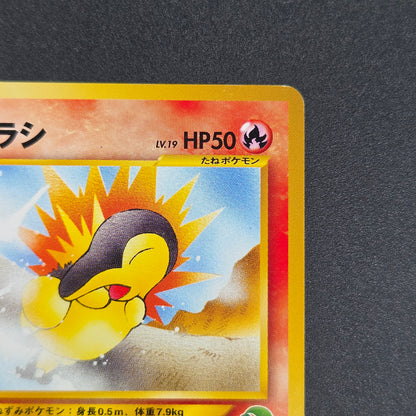 Cyndaquil 155 Intro Pack Neo Chikorita Deck Pokemon card